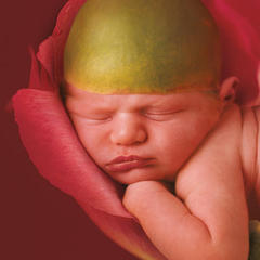 Portrait of Anne Geddes