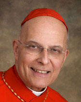 Portrait of Chris Frantz