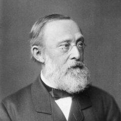 Portrait of Rudolf Virchow