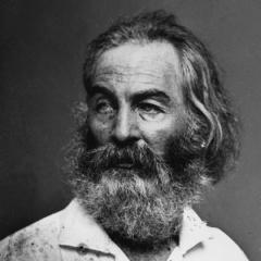 Portrait of Walt Whitman