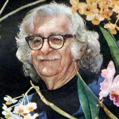 Portrait of Roberto Burle Marx