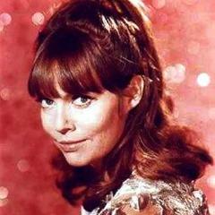 Portrait of Barbara Feldon