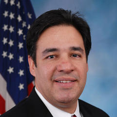 Portrait of Raul Labrador