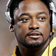 Portrait of Mike Tomlin