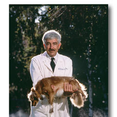 Portrait of William C. Dement