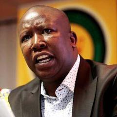 Portrait of Julius Malema