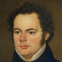 Portrait of Franz Schubert