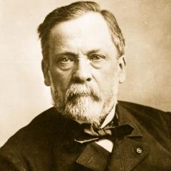 Portrait of Louis Pasteur