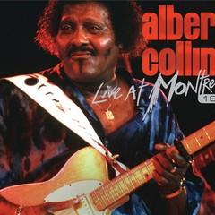 Portrait of Albert Collins