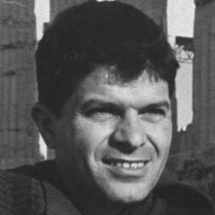 Portrait of Brendon Ayanbadejo