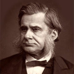 Portrait of Thomas Huxley