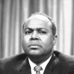 Portrait of James L. Farmer, Jr