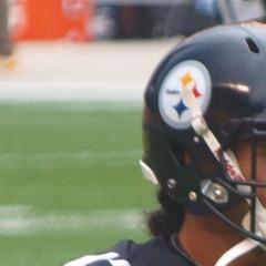 Portrait of Troy Polamalu