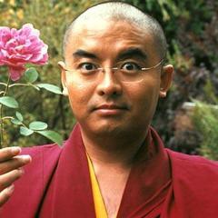 Portrait of Yongey Mingyur Rinpoche