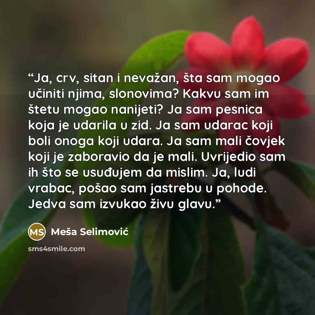 “Ja, crv, sitan i nevažan, šta sam mogao učiniti njima, slonovima? Kakvu sam im štetu mogao nanijeti? Ja sam pesnica koja je udarila u zid. Ja sam udarac koji boli onoga koji udara. Ja sam mali čovjek koji je zaboravio da je mali. Uvrijedio sam ih što se usuđujem da mislim. Ja, ludi vrabac, pošao…” quote by Meša Selimović