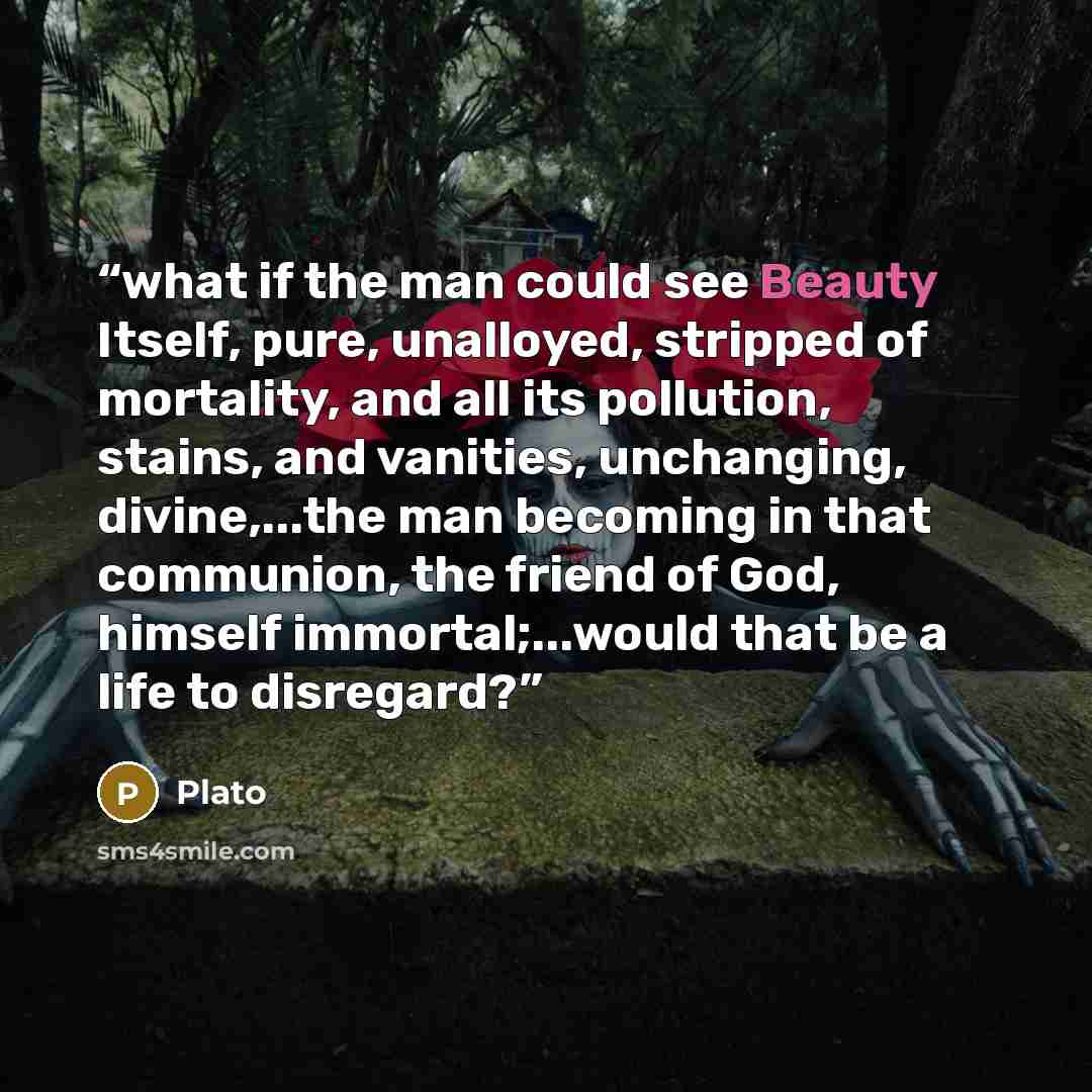 “what if the man could see Beauty Itself, pure, unalloyed, stripped of mortality, and all its pollution, stains, and vanities, unchanging, divine,...the man becoming in that communion, the friend of God, himself immortal;...would that be a life to disregard?” quote by Plato