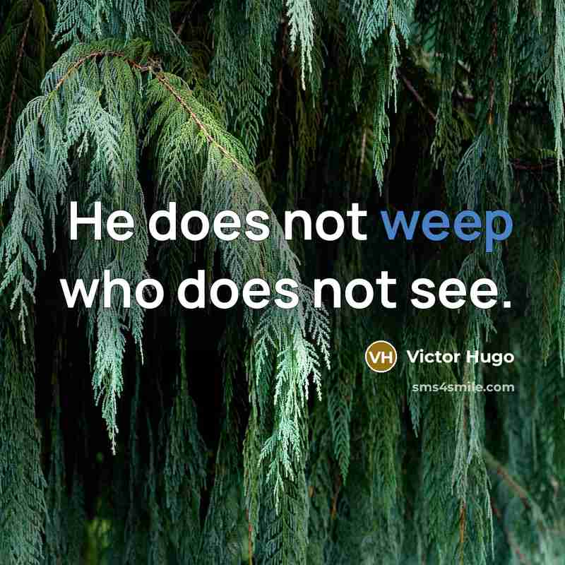“He does not weep who does not see.” quote by Victor Hugo