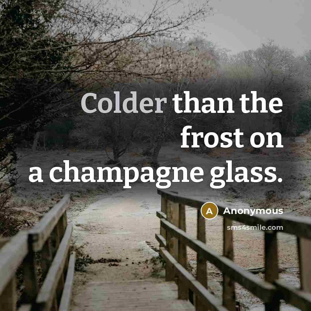 “Colder than the frost on a champagne glass.” quote by Anonymous