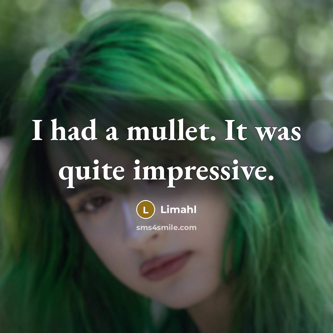 “I had a mullet. It was quite impressive.” quote by Limahl