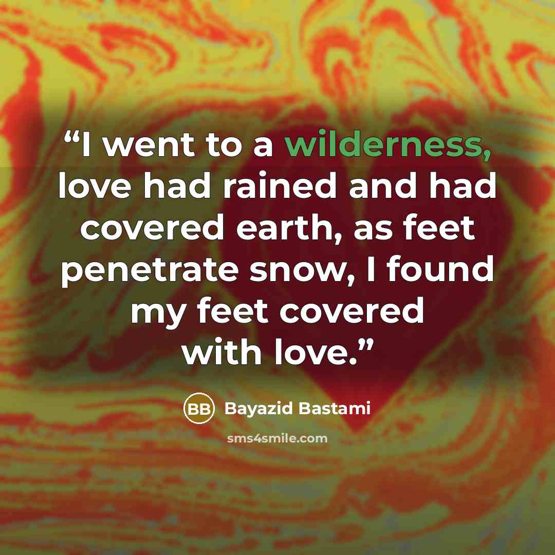 “I went to a wilderness, love had rained and had covered earth, as feet penetrate snow, I found my feet covered with love.” quote by Bayazid Bastami