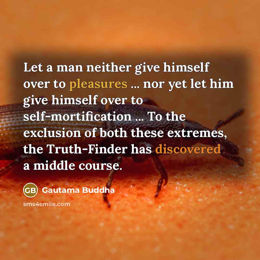 “Let a man neither give himself over to pleasures ... nor yet let him give himself over to self-mortification ... To the exclusion of both these extremes, the Truth-Finder has discovered a middle course.” quote by Gautama Buddha