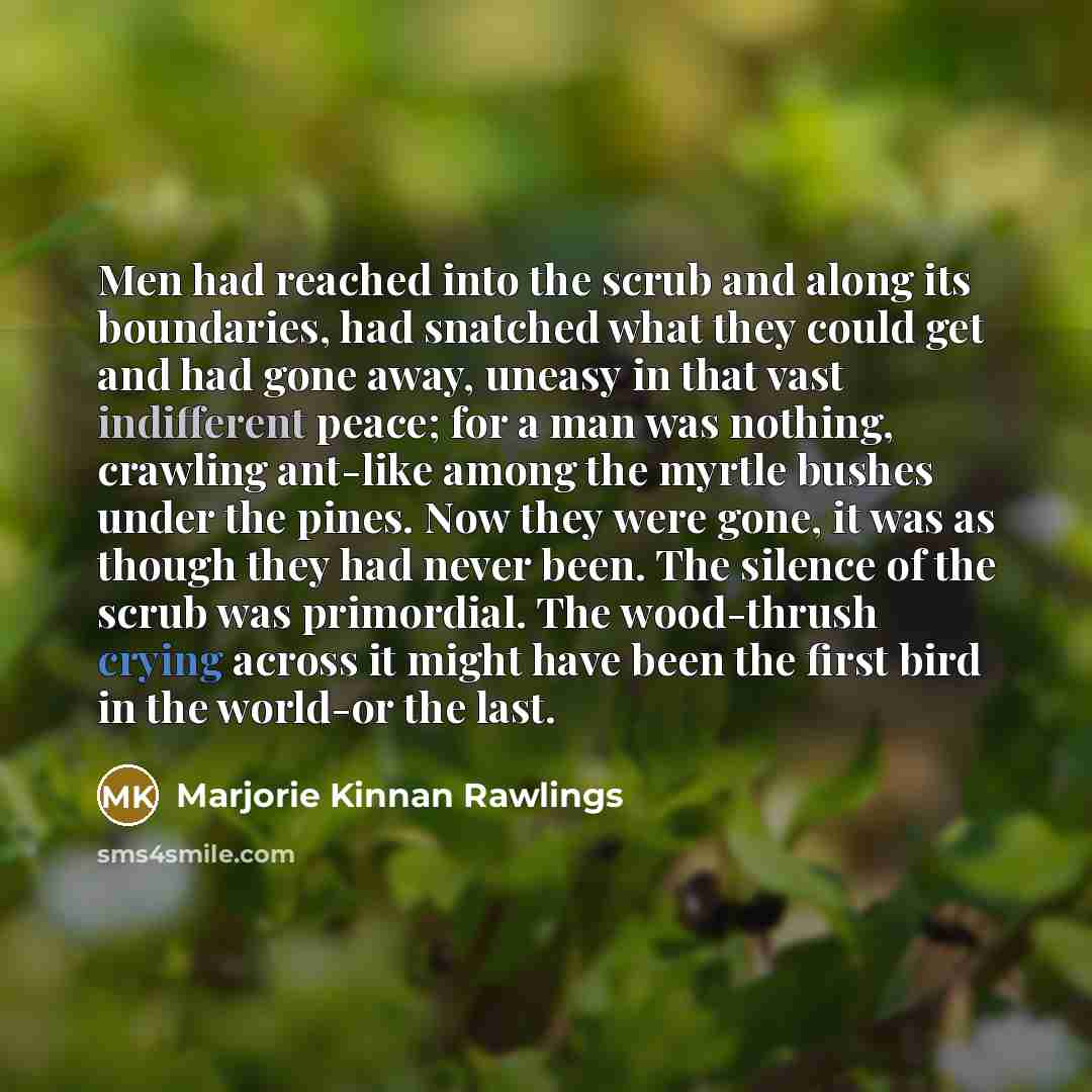 “Men had reached into the scrub and along its boundaries, had snatched what they could get and had gone away, uneasy in that vast indifferent peace; for a man was nothing, crawling ant-like among the myrtle bushes under the pines. Now they were gone, it was as though they had never been. The…” quote by Marjorie Kinnan Rawlings