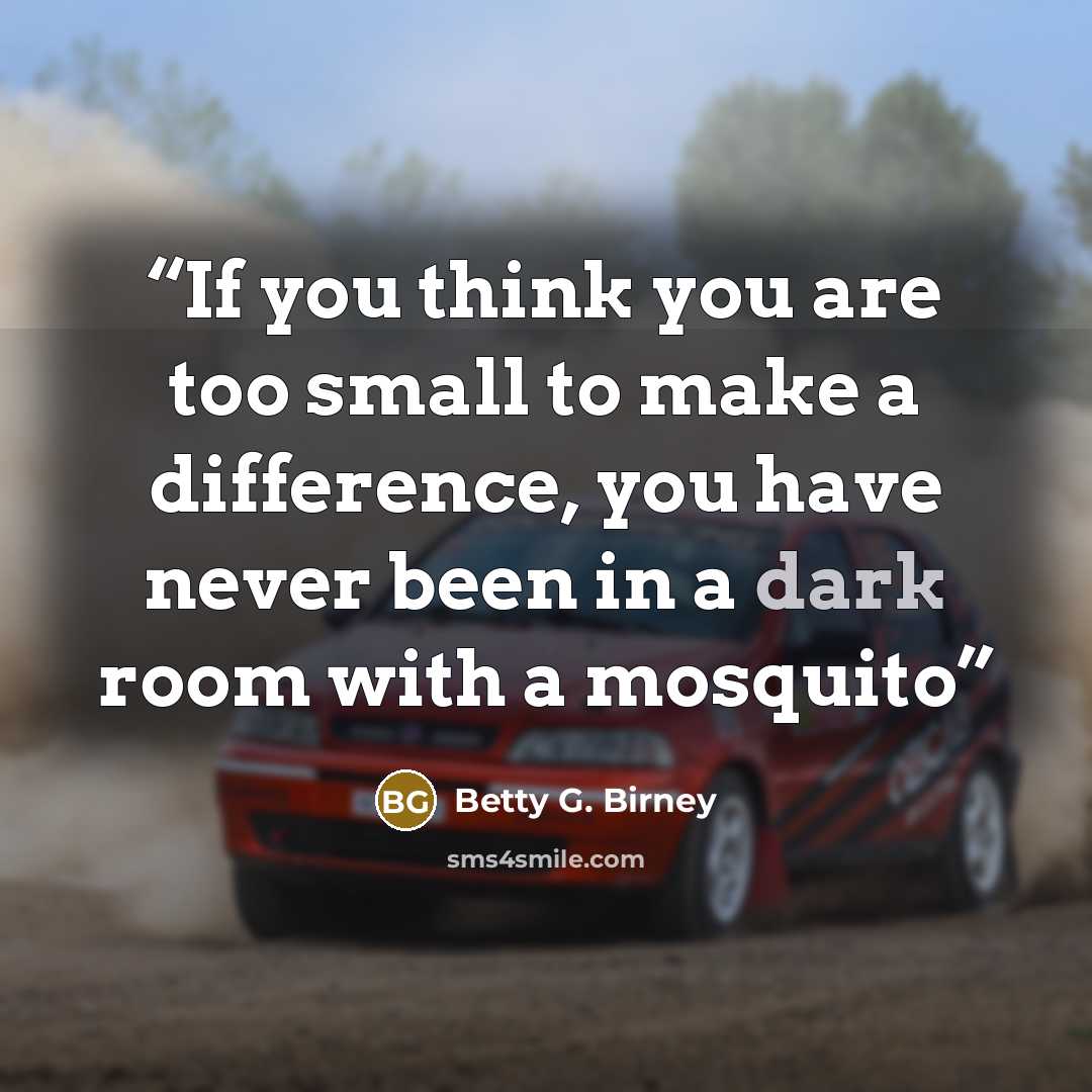 “If you think you are too small to make a difference, you have never been in a dark room with a mosquito” quote by Betty G. Birney