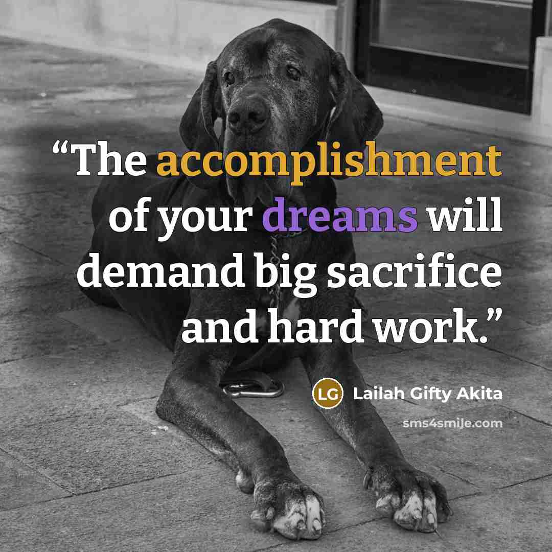 “The accomplishment of your dreams will demand big sacrifice and hard work.” quote by Lailah Gifty Akita