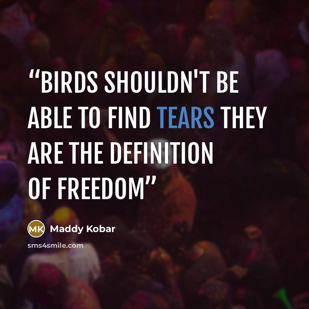 “Birds shouldn't be able to find tears They are the definition of freedom” quote by Maddy Kobar