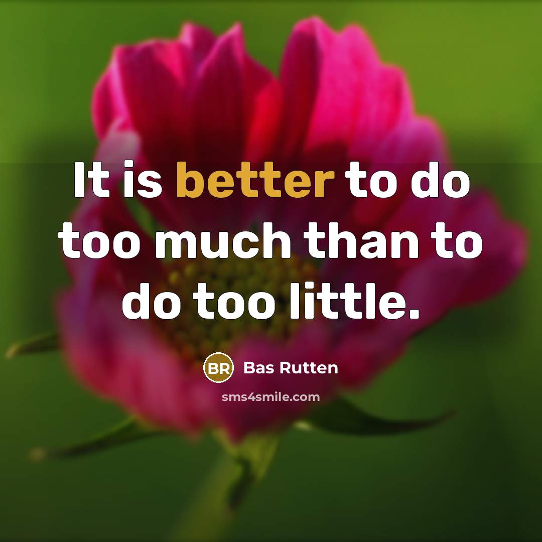 “It is better to do too much than to do too little.” quote by Bas Rutten