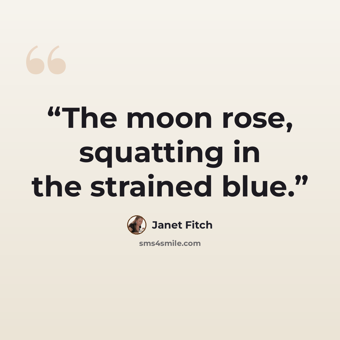 “The moon rose, squatting in the strained blue.” quote by Janet Fitch