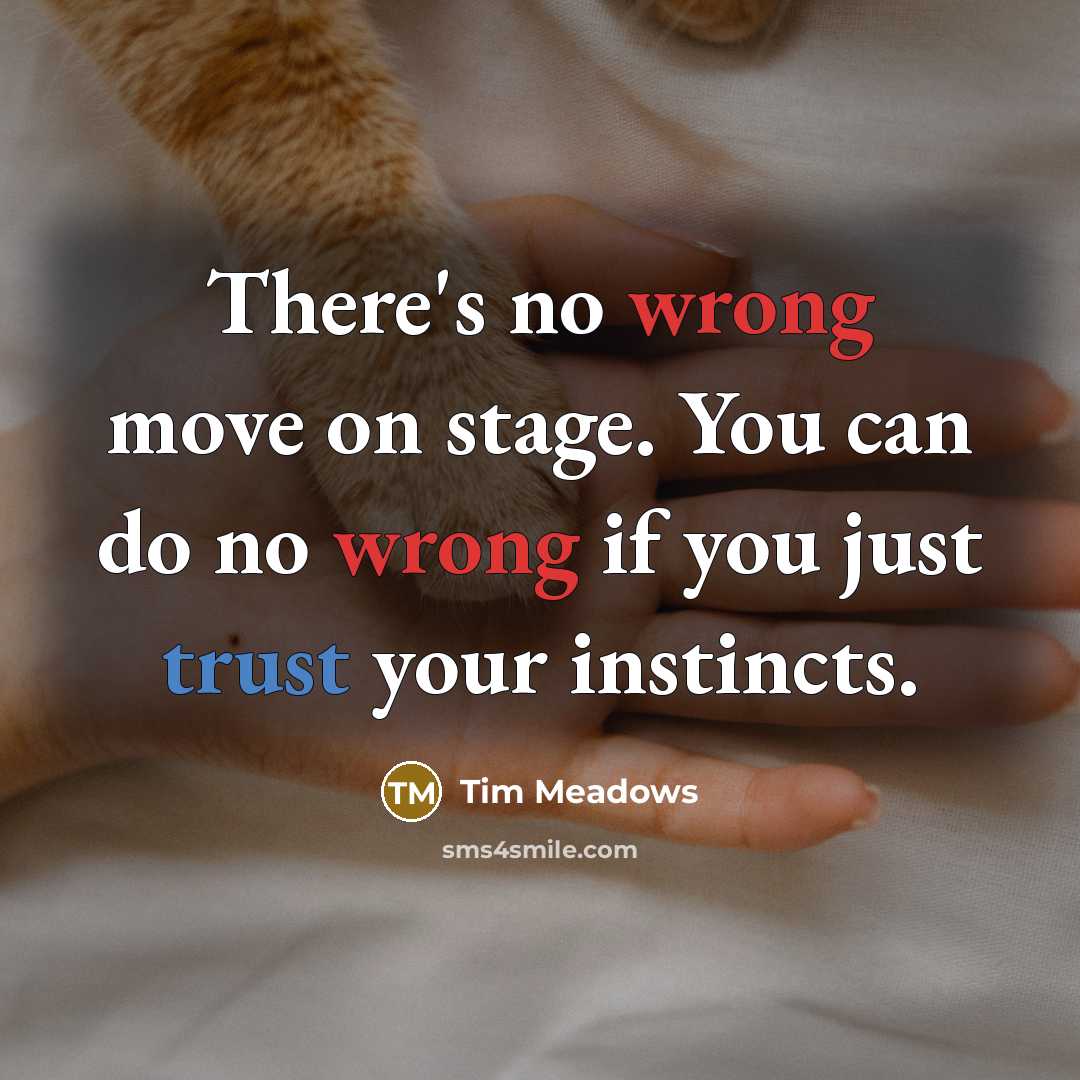 “There's no wrong move on stage. You can do no wrong if you just trust your instincts.” quote by Tim Meadows