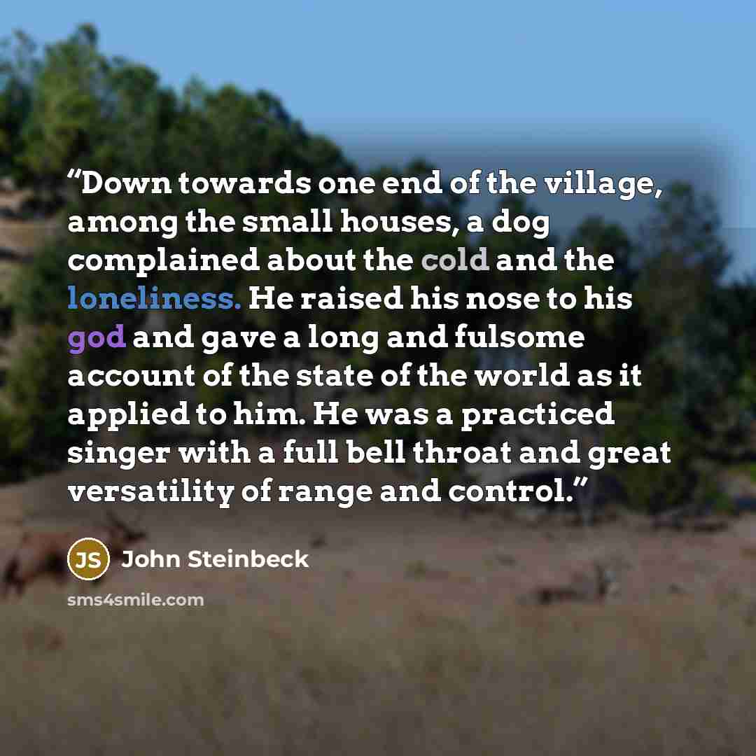 “Down towards one end of the village, among the small houses, a dog complained about the cold and the loneliness. He raised his nose to his god and gave a long and fulsome account of the state of the world as it applied to him. He was a practiced singer with a full bell throat and great versatility…” quote by John Steinbeck