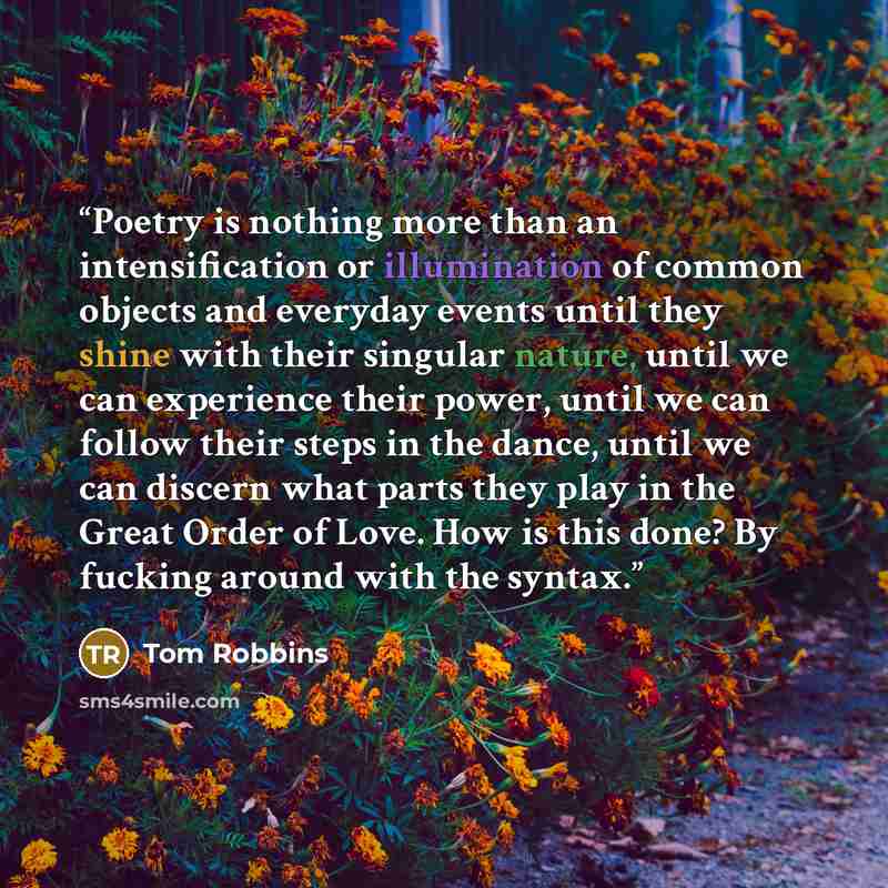“Poetry is nothing more than an intensification or illumination of common objects and everyday events until they shine with their singular nature, until we can experience their power, until we can follow their steps in the dance, until we can discern what parts they play in the Great Order of Love…” quote by Tom Robbins