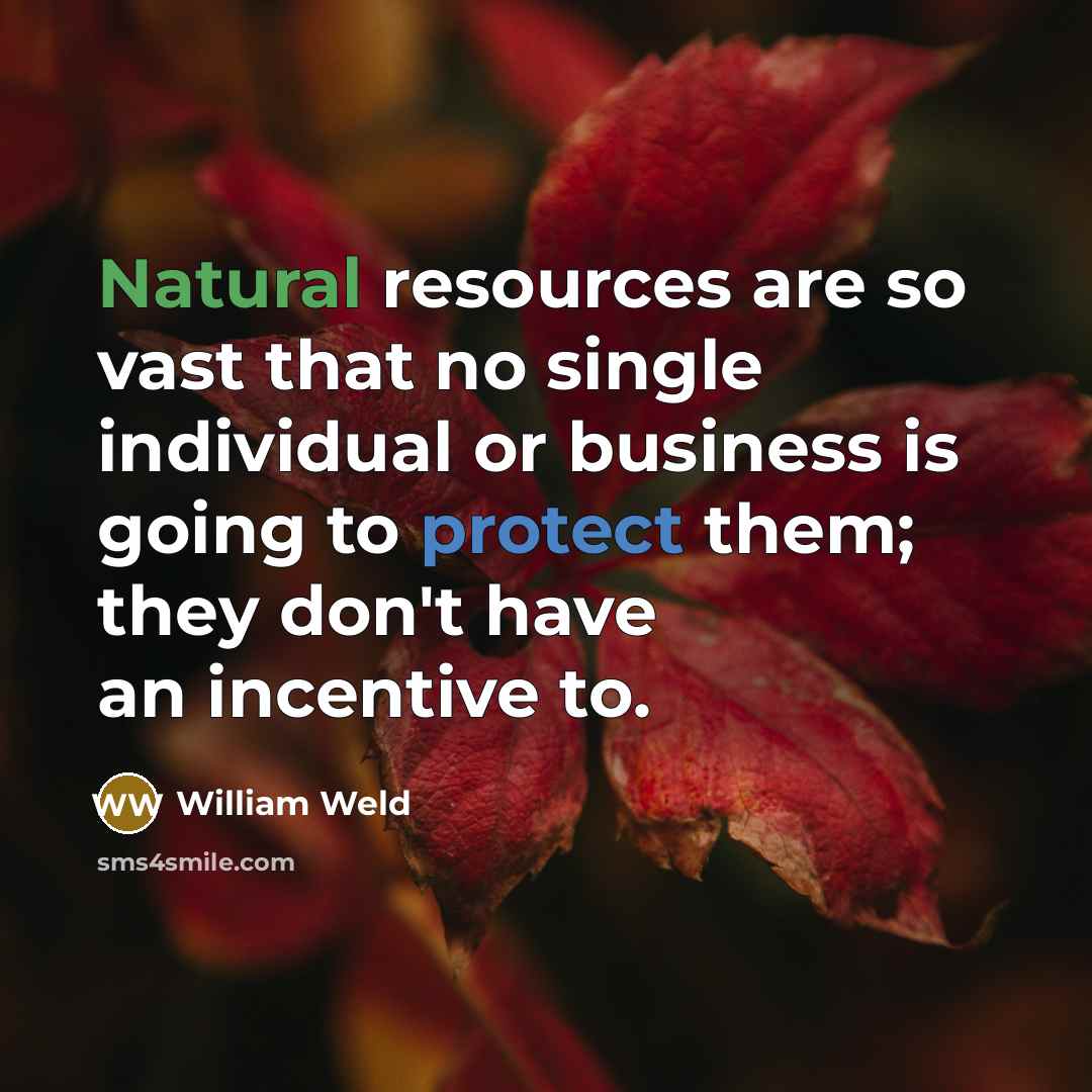 “Natural resources are so vast that no single individual or business is going to protect them; they don't have an incentive to.” quote by William Weld