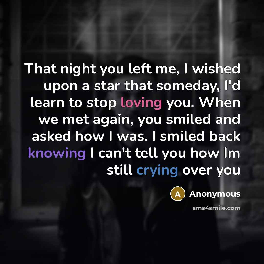 “That night you left me, I wished upon a star that someday, I'd learn to stop loving you. When we met again, you smiled and asked how I was. I smiled back knowing I can't tell you how Im still crying over you” quote by Anonymous