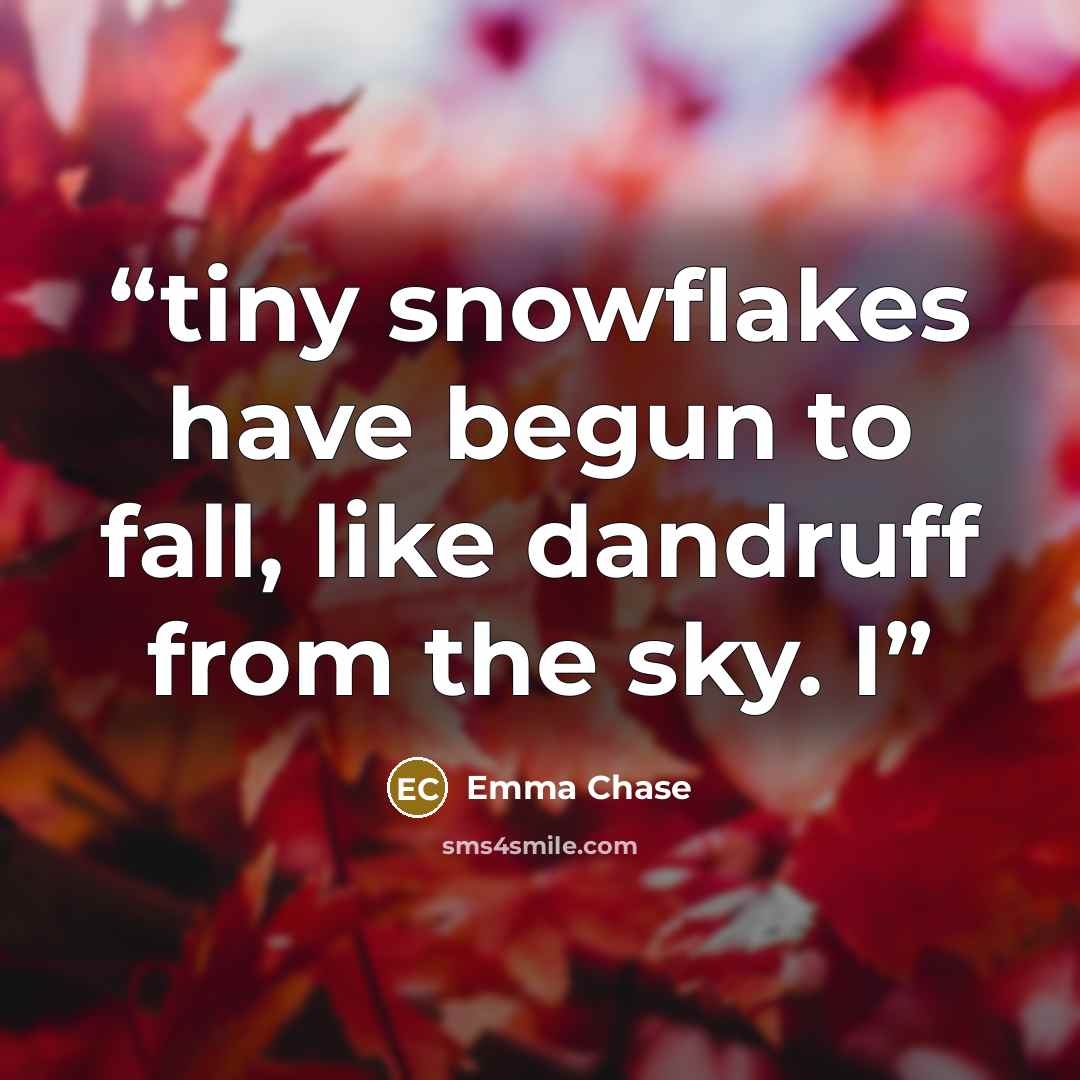 “tiny snowflakes have begun to fall, like dandruff from the sky. I” quote by Emma Chase