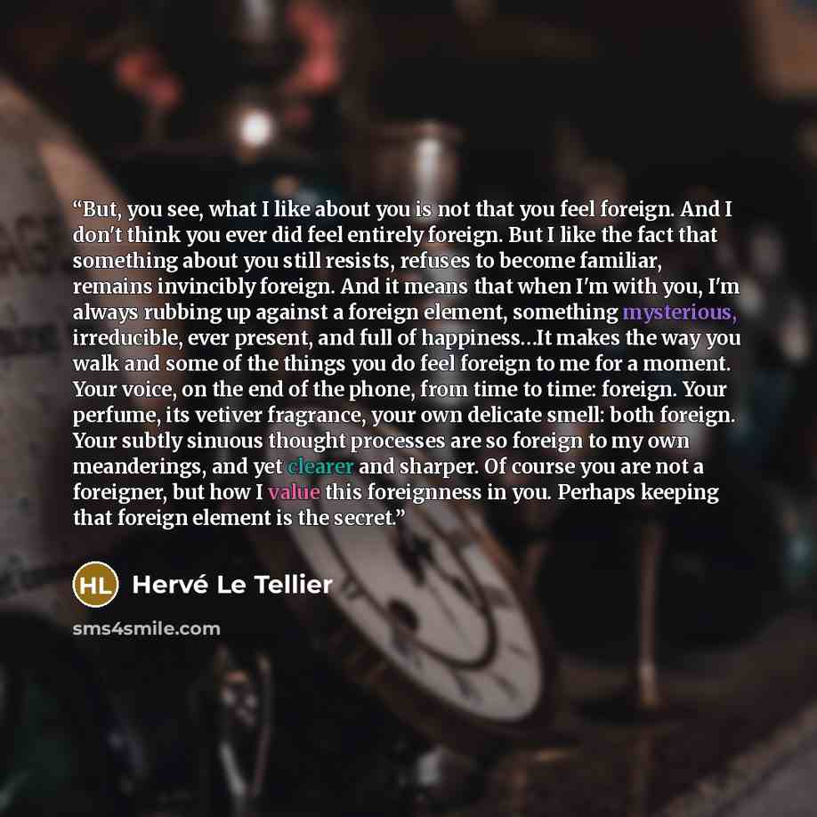 “But, you see, what I like about you is not that you feel foreign. And I don't think you ever did feel entirely foreign. But I like the fact that something about you still resists, refuses to become familiar, remains invincibly foreign. And it means that when I'm with you, I'm always rubbing up…” quote by Herve Le Tellier