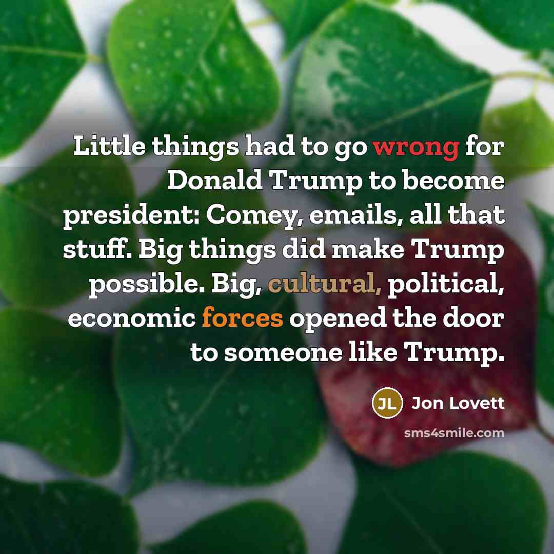 “Little things had to go wrong for Donald Trump to become president: Comey, emails, all that stuff. Big things did make Trump possible. Big, cultural, political, economic forces opened the door to someone like Trump.” quote by Jon Lovett