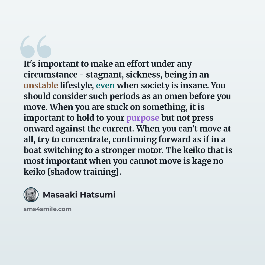 “It's important to make an effort under any circumstance - stagnant, sickness, being in an unstable lifestyle, even when society is insane. You should consider such periods as an omen before you move. When you are stuck on something, it is important to hold to your purpose but not press onward…” quote by Masaaki Hatsumi
