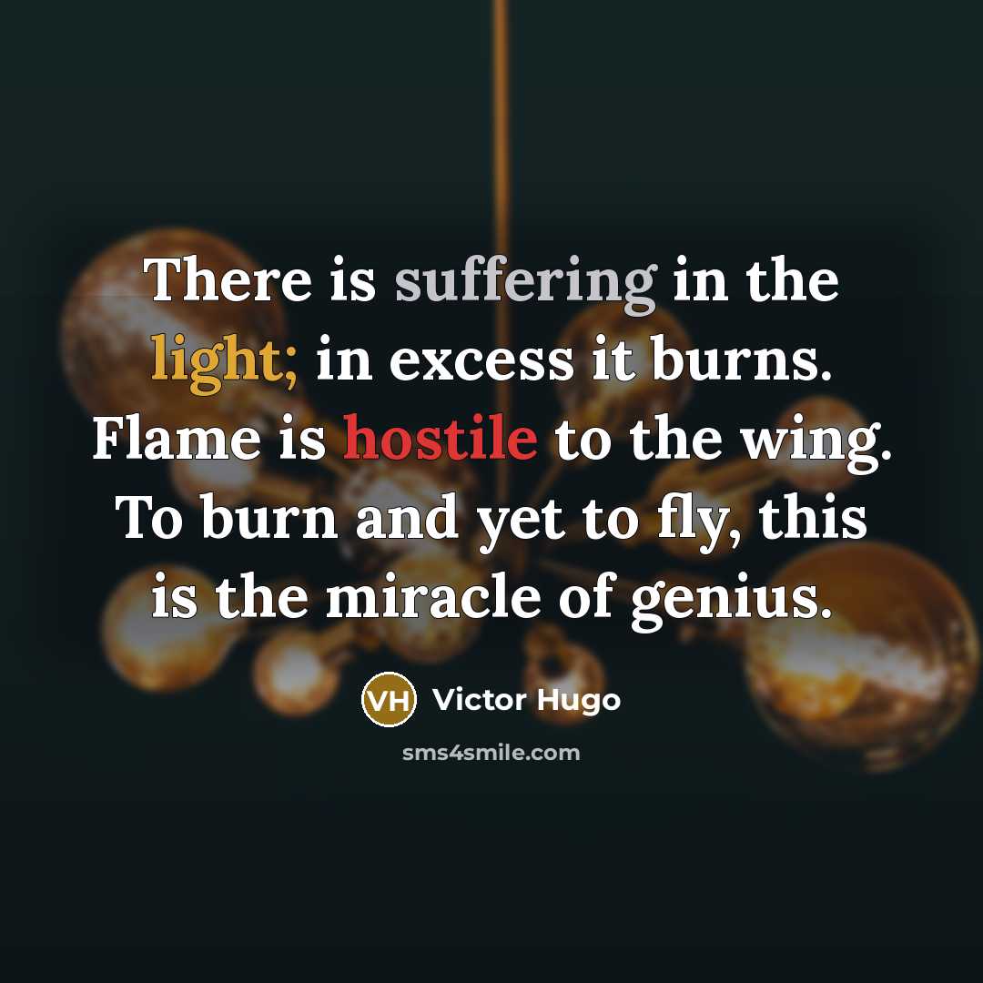“There is suffering in the light; in excess it burns. Flame is hostile to the wing. To burn and yet to fly, this is the miracle of genius.” quote by Victor Hugo
