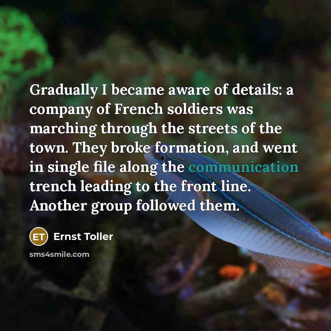 “Gradually I became aware of details: a company of French soldiers was marching through the streets of the town. They broke formation, and went in single file along the communication trench leading to the front line. Another group followed them.” quote by Ernst Toller
