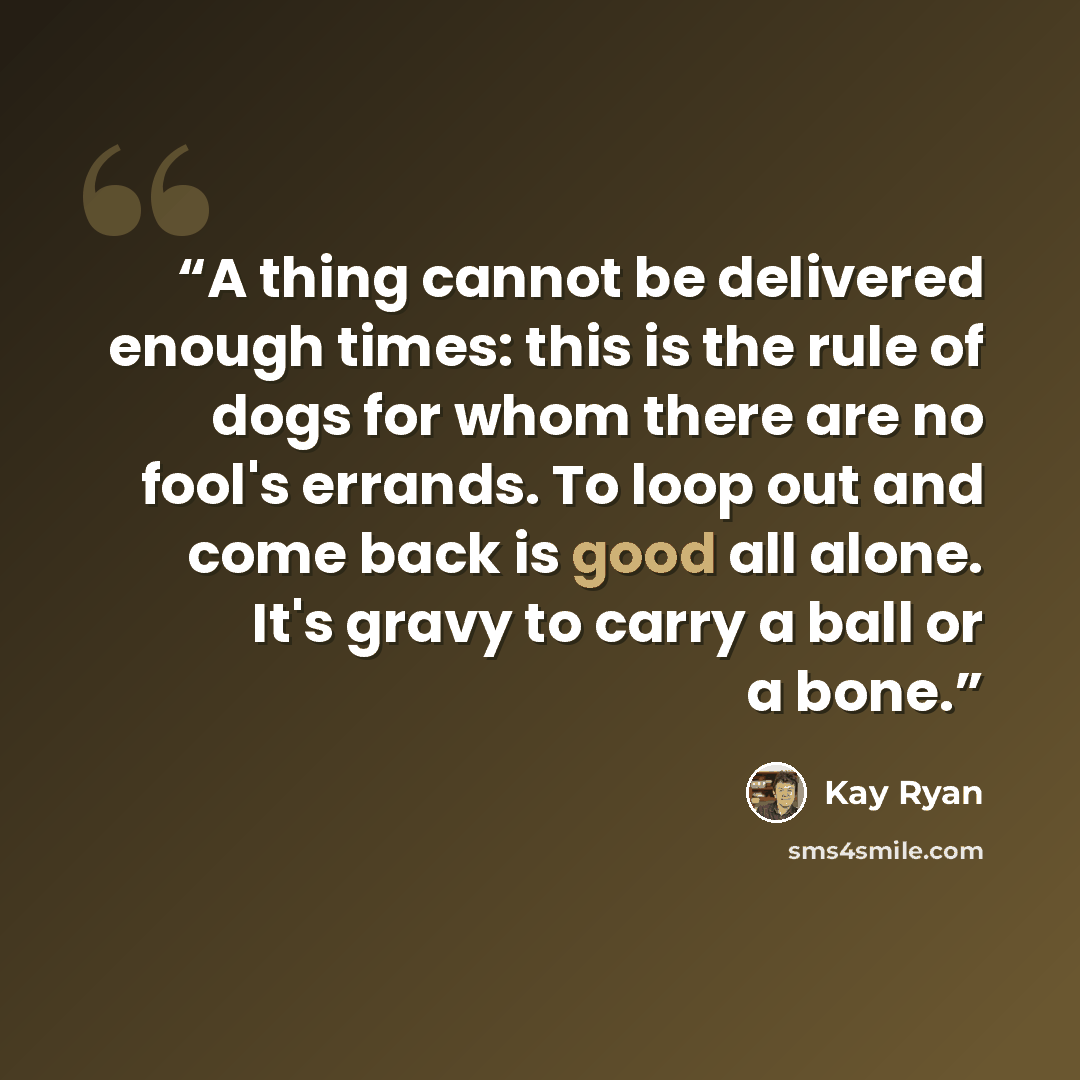 “A thing cannot be delivered enough times: this is the rule of dogs for whom there are no fool's errands. To loop out and come back is good all alone. It's gravy to carry a ball or a bone.” quote by Kay Ryan