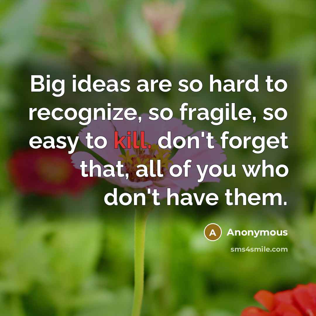 “Big ideas are so hard to recognize, so fragile, so easy to kill. don't forget that, all of you who don't have them.” quote by Anonymous