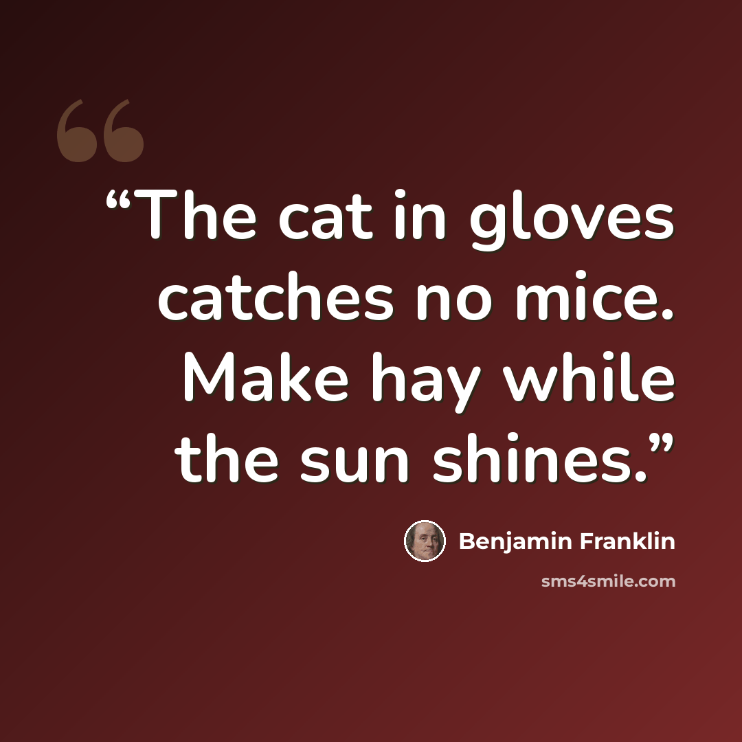 “The cat in gloves catches no mice. Make hay while the sun shines.” quote by Benjamin Franklin