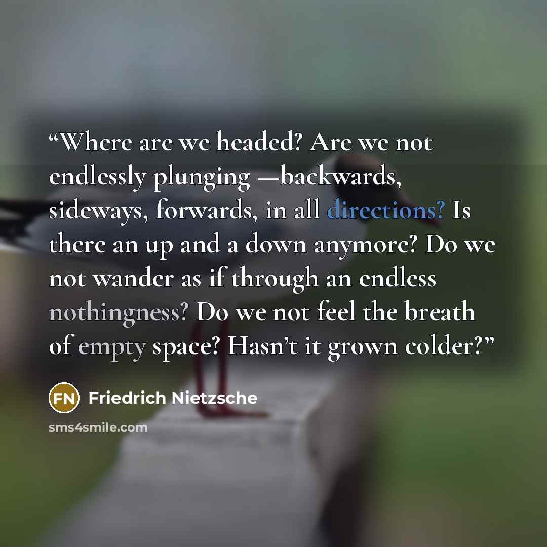 “Where are we headed? Are we not endlessly plunging —backwards, sideways, forwards, in all directions? Is there an up and a down anymore? Do we not wander as if through an endless nothingness? Do we not feel the breath of empty space? Hasn’t it grown colder?” quote by Friedrich Nietzsche