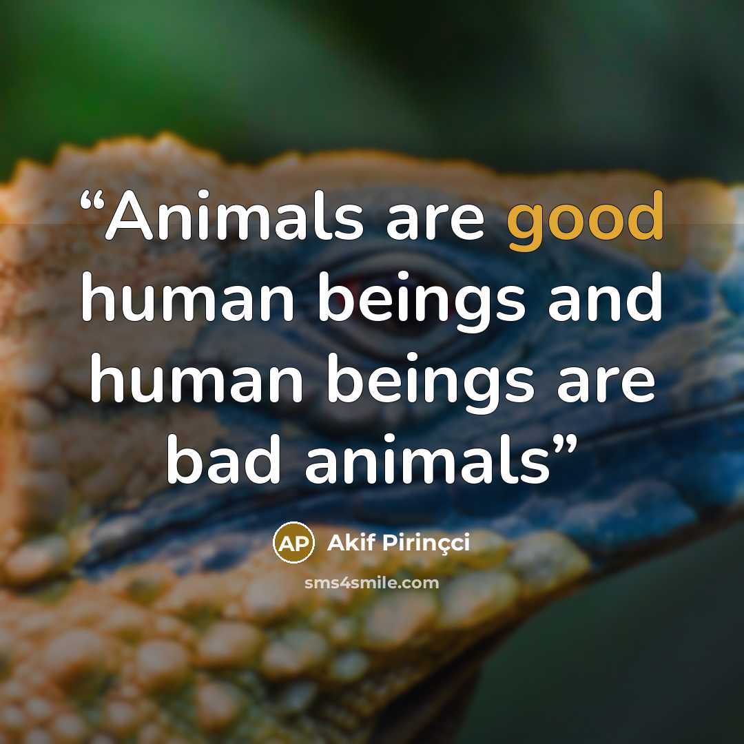 “Animals are good human beings and human beings are bad animals” quote by Akif Pirinçci