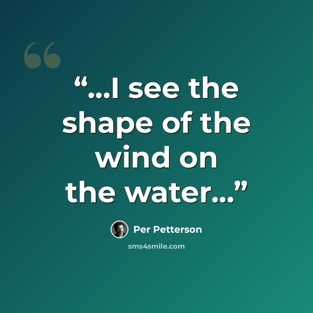 “...I see the shape of the wind on the water...” quote by Per Petterson