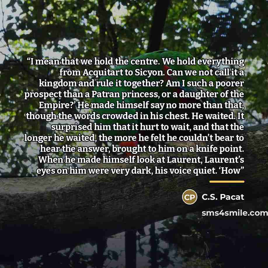 “I mean that we hold the centre. We hold everything from Acquitart to Sicyon. Can we not call it a kingdom and rule it together? Am I such a poorer prospect than a Patran princess, or a daughter of the Empire?’ He made himself say no more than that, though the words crowded in his chest. He waited…” quote by C.S. Pacat