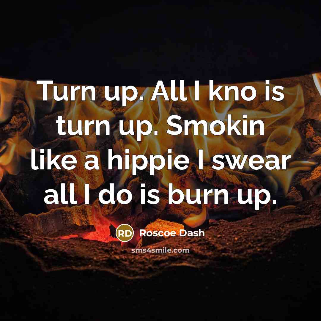 “Turn up. All I kno is turn up. Smokin like a hippie I swear all I do is burn up.” quote by Roscoe Dash